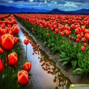 2019年7月13日子时（23:00-00:59）出生的男宝宝，怎样取名好，听