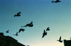 姓左丘女孩有寓意的名字大全