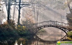 公历2019年3月8号子时出生的女宝宝怎么起名，宜用什么字