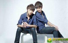 2019年二月十二出生的双胞胎男孩怎么样起名和宜用字