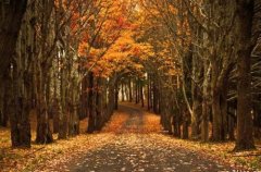 狗年姓赵女孩名字大全 属狗赵姓女孩起名2018