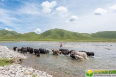 夏至出生的女宝宝起名带什么字好，用哪些字比较合适