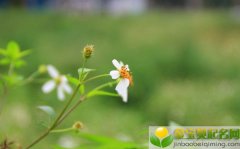 2019年农历二月二十三出生的男孩五行缺木该如何起名字，该注意什