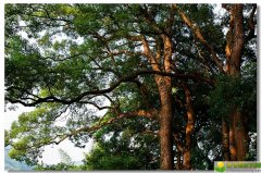 中元节下午出生的女宝宝如何起名字好