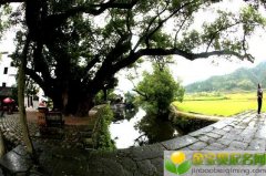 2019猪年中元节出生的女宝宝起什么名字好，五行属什么