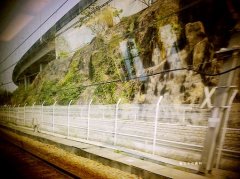 狗年姓湛女孩名字大全 属狗湛姓女宝宝起名2018