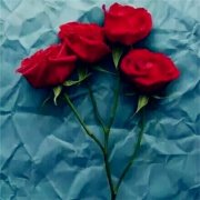 狗年姓董女孩名字大全 属狗董姓女宝宝起名2018