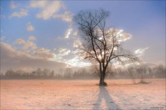 狗年姓黄女孩名字大全 属狗黄姓女宝宝起名2018