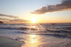 狗年姓毛女孩名字大全 属狗毛姓女宝宝起名2018