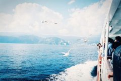 狗年姓米女孩名字大全 属狗米姓女宝宝起名2018