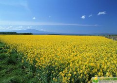 2019年4月22号下午出生的男宝宝怎么样起名字，起什么名字好听