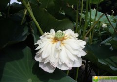 公历2019年3月24号子时出生的女宝宝如何起名，宜用的字有哪些