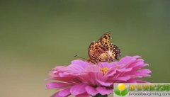 公历2019年3月29号未时出生的女宝宝名字该怎么起，又有什么宜用