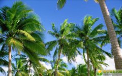 2019猪年春分生的女宝宝五行缺土要如何起名字