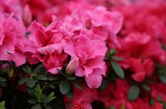 姓台女孩有寓意的名字大全