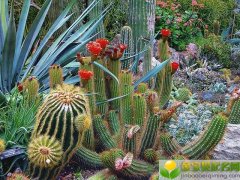 2019年4月27号早上出生的女宝宝怎样取一个好名字