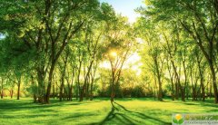 公历2019年3月27号寅时出生的女宝宝有什么起名方法，宜用的字有