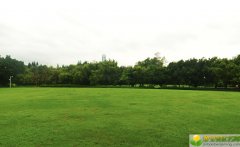 公历2019年3月26号巳时出生的女宝宝该怎么起名，宜用字又有哪些