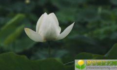 公历2019年3月25号子时出生的女宝宝如何起名，宜用字是什么