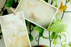 姓居女孩有寓意的名字大全