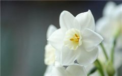 姓訾女孩有寓意的名字大全