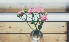 姓诸葛女孩有寓意的名字大全