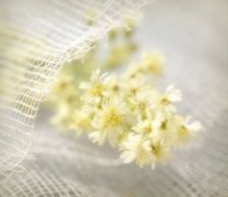 姓勾女孩有寓意的名字大全