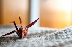 狗年姓夏女孩名字大全 属狗夏姓女宝宝起名2018