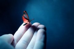 狗年姓房女孩名字大全 属狗房姓女宝宝起名2018