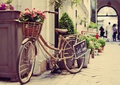 狗年姓荀女孩名字大全 属狗荀姓女宝宝起名2018