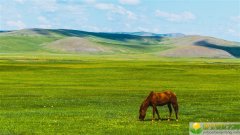 2019猪年夏至出生的女宝宝五行缺水要如何取名字