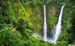 姓向女孩高雅有诗意的名字大全