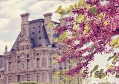 狗年姓陆女孩名字大全 属狗陆姓女宝宝起名2018