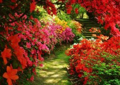 狗年姓翁女孩名字大全 属狗翁姓女宝宝起名2018