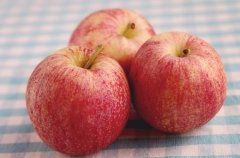 狗年姓邰女孩名字大全 属狗邰姓女宝宝起名2018