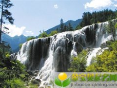 2019猪年处暑出生男宝宝起什么小名比较好