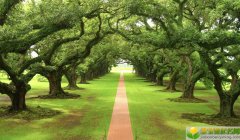 2019年12月17号出生的女宝宝五行缺金如何起名，宜用的字有哪些