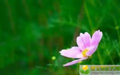 2019年3月29号晚上出生的女宝宝取名有哪些方法