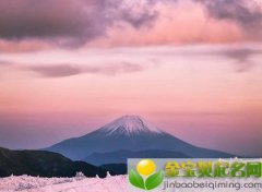 2019年七月十四出生的双胞胎女宝宝有什么好的起名方法，宜用字有