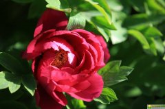 2019年8月24号出生的女宝宝五行缺土要怎么起名字