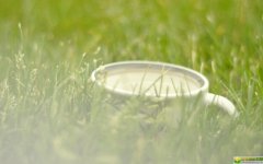 姓温女孩优雅大气的名字大全