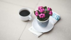 狗年姓闻女孩名字大全 属狗闻姓女宝宝起名2018