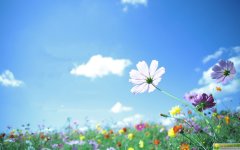 姓章女孩优雅好听的名字大全