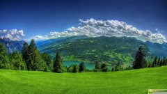 姓丛女孩新颖有内涵的名字