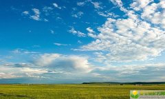 2019年夏至节气是几月几号，夏至出生的女宝宝起什么名字好