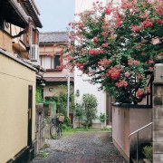 狗年姓蒯女孩名字大全 属狗蒯姓女宝宝起名2018