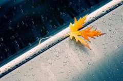 狗年姓冷女孩名字大全 属狗冷姓女宝宝起名2018