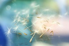 狗年姓桓女孩名字大全 属狗桓姓女宝宝起名2018