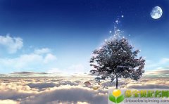 2019年11月8号出生的女宝宝五行缺木如何起名字，宜用字有什么