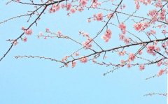 狗年姓益女孩名字大全 属狗益姓女宝宝起名2018